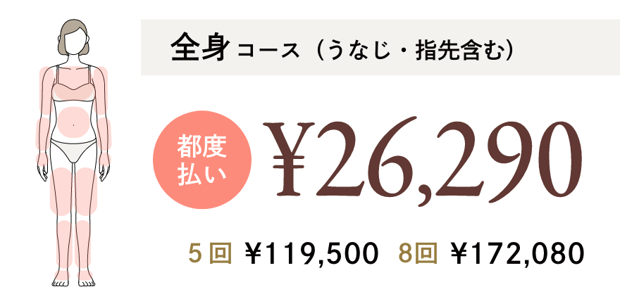 全身コース