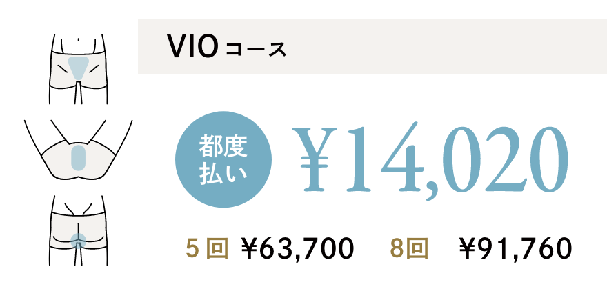 VIOコース