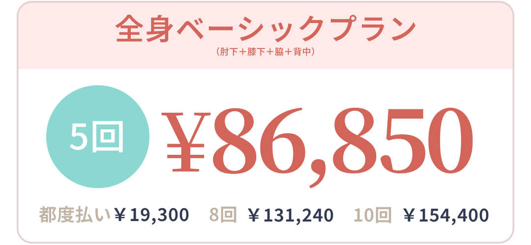 全身ベーシックプラン（肘下＋膝下＋脇＋背中）5回 ¥86,850 都度払い¥19,300 8回¥131,240 10回¥154,400