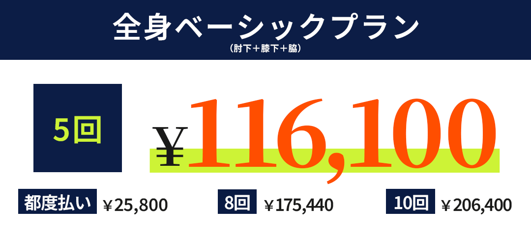 全身ベーシックプラン（肘下＋膝下＋脇）5回 ¥116,100 都度払い¥25,800 8回¥175,440 10回¥206,400