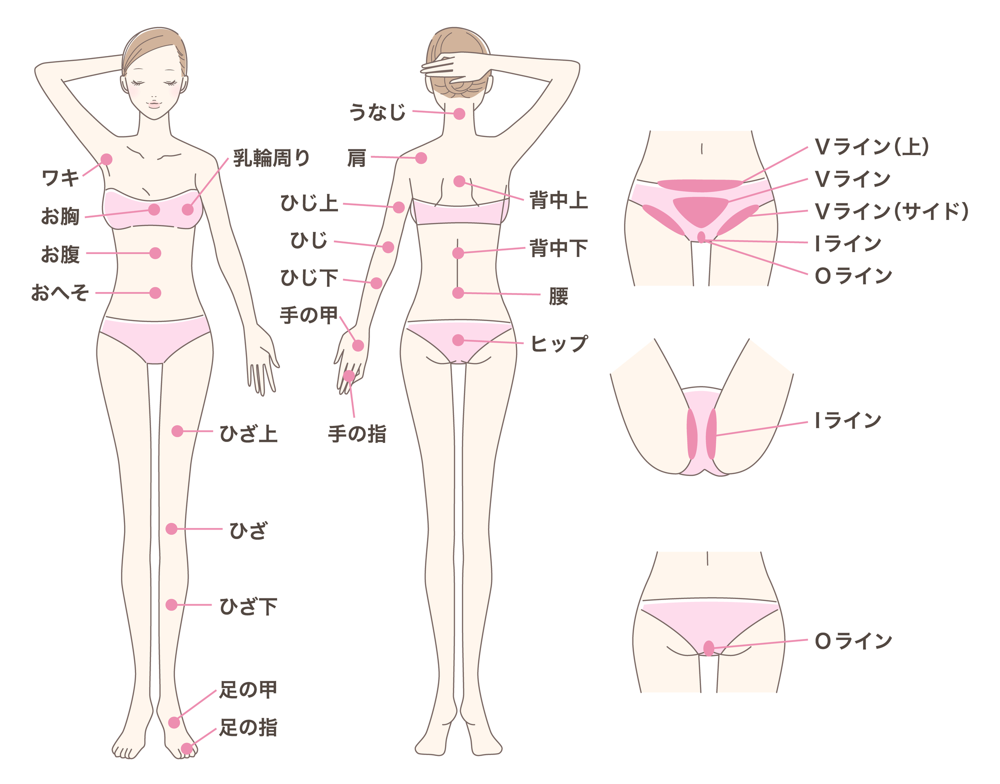 【部位別】医療脱毛は何回で効果が出る？　脱毛効果を感じにくい際の対処法も解説- 医療脱毛ならカノアクリニック